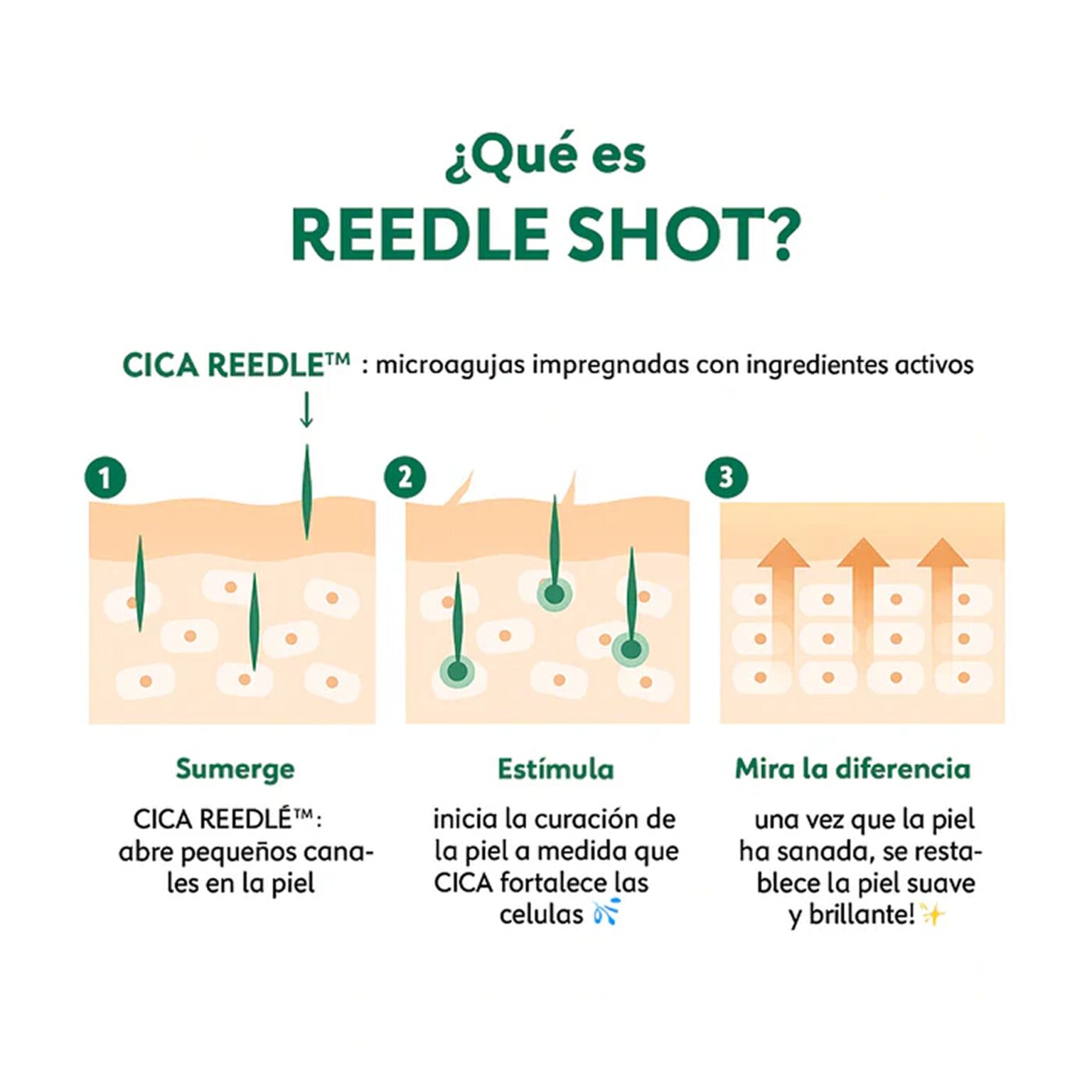 Reedle Shot 50 – 30ml 3